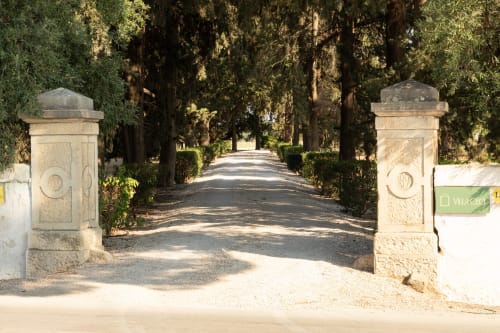 Cancello d'ingresso di Villa Ceci con viale alberato ad Andria, Italia