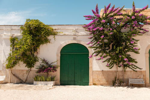 Ingresso di Villa Ceci ad Andria con porta ad arco verde, fiori magenta di buganvillea e cortile sabbioso