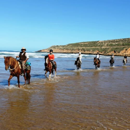 Balade à cheval en groupe sur la plage du Riad Eucalyptus, El Ghazouane, Maroc avec falaises côtières