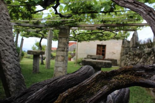 Rústica pérgola con viñas en Casa Rural A Bouciña en Hío, España, con vistas a la arquitectura rural