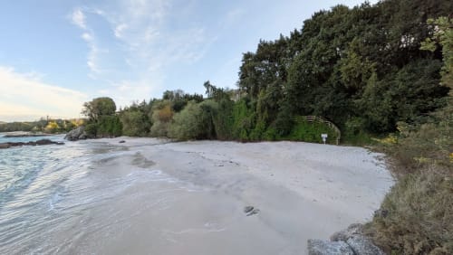 Playa de arena con exuberante vegetación y aguas tranquilas en Casa Rural A Bouciña en Hío, España