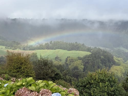 Rainbow over lush valley landscape near Golden Mermaid Villa in Ribeirinha, Portugal, with flowering hydrangeas in foreground