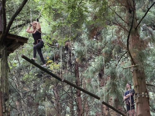 Guest ziplining through forest canopy at Golden Mermaid Villa adventure park in Ribeirinha, Portugal