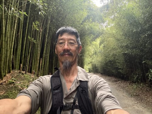 Man taking selfie on bamboo forest trail at Golden Mermaid Villa in Ribeirinha, Portugal