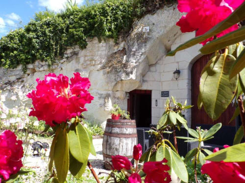 Vibrant magenta bougainvillea flowers bloom in the courtyard garden of Les Troglos de Beaulieu, a charming French bed and