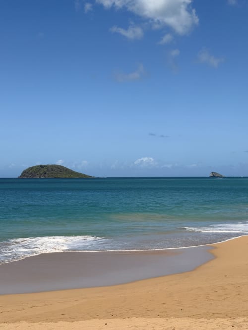 Plage tropicale aux sables dorés, eaux turquoise et vues luxuriantes près du Filao Cottage, Sainte-Rose, Guadeloupe