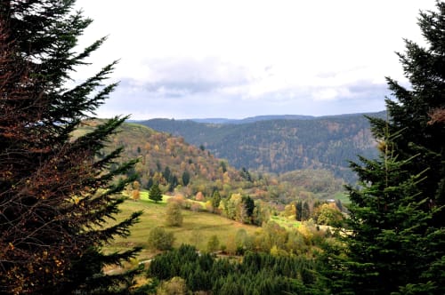 Vallée de montagne brumeuse avec collines boisées et bâtiments épars, Le Refuge des Brumes, Alpes françaises