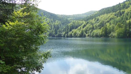 Lac de montagne paisible entouré de forêts denses et verdoyantes au Refuge des Brumes en France