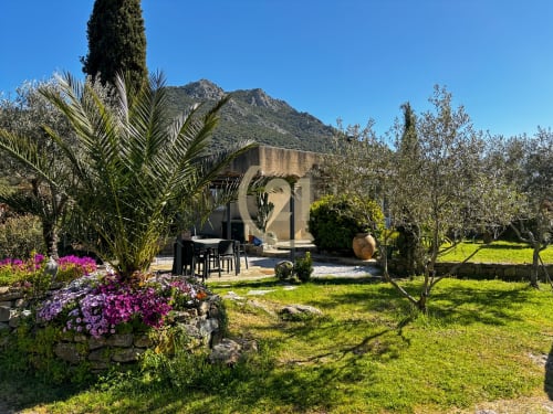 Jardin de villa méditerranéenne à L'Île-Rousse avec fleurs violettes, palmiers, oliveraie et vues sur les montagnes
