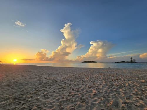 Coucher de soleil spectaculaire à la plage Tikehau Herearii avec palmiers, ciel doré et eaux turquoise à Tuherahera, Polynésie française