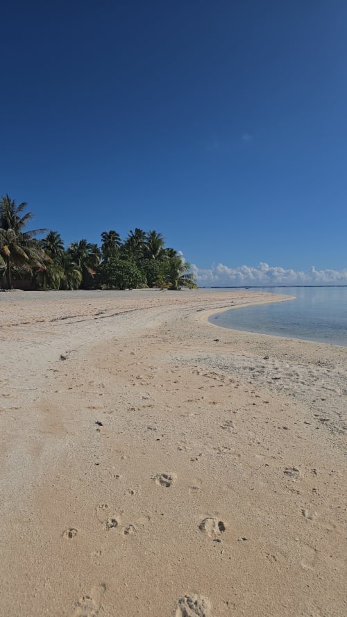 Pristine sandy beach with footprints and turquoise lagoon at Tikehau Herearii cottage in French Polynesia