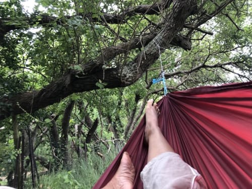 Person relaxing in burgundy hammock strung between trees at Le Lama Zébré guesthouse in Penmarch, France