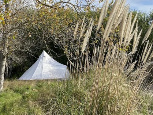 White glamping tent nestled among tall pampas grass at Le Lama Zébré in Penmarch, France
