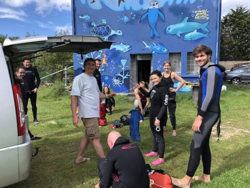 Group enjoying water sports activities at Le Lama Zébré, a B&B in Penmarch with ocean-themed décor.