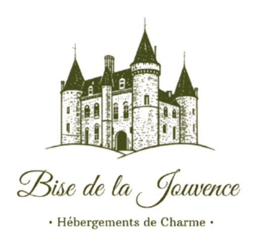 Logo du château Bise de la Jouvence, charmante maison d'hôtes à Saint Laurent sur Sèvre, France