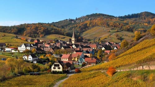 Le village de Niedermorschwihr niché dans les vignobles d'automne avec son clocher et les collines boisées d'Alsace