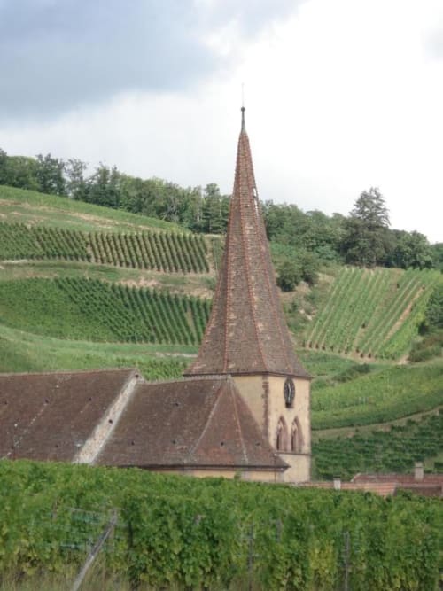 Clocher historique entouré des vignobles alsaciens à Niedermorschwihr, près de l'Hôtel de l'Ange