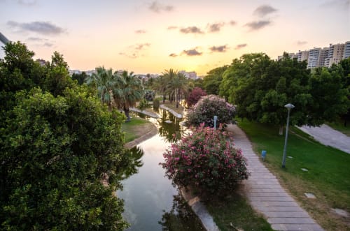Paseo escénico del parque con flores en flor, palmeras y canal acuático al atardecer cerca de ML Apartments, España