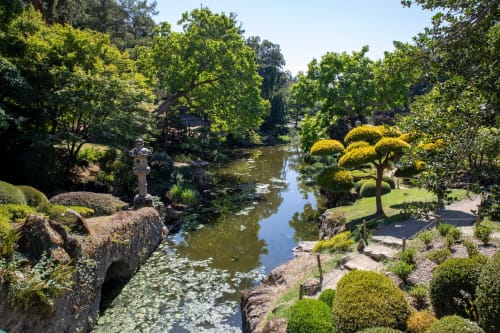 Serene garden stream at Bise de la Jouvence B&B in Saint Laurent sur Sèvre, with lush trees, shaped yellow bushes, and stone
