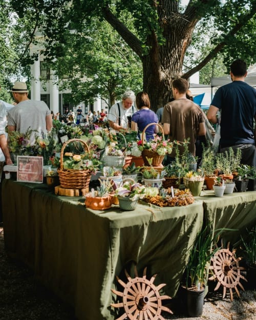Étal de marché en plein air avec plantes en pot et fleurs à Le Pied de la Lettre, Grignan France