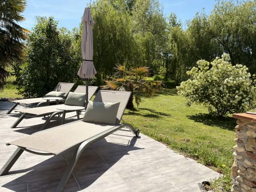 Terrasse ensoleillée du Jardin d'Elusa B&B à Eauze avec chaises longues et arbustes fleuris