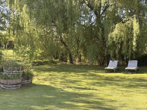 Jardin paisible du gîte Le Jardin d'Elusa à Eauze avec transats sous les saules pleureurs