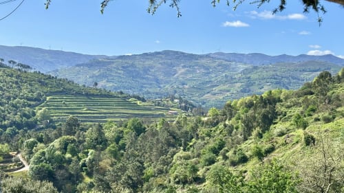 Paisagem montanhosa exuberante com campos agrícolas em socalcos e florestas ao redor da Quinta das Susandas em Tresouras,