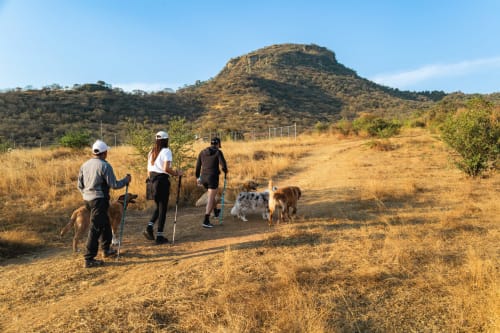 Huéspedes caminando con perros en sendero panorámico cerca de Meraki Glampings en Malinalco, México, con montañas de fondo