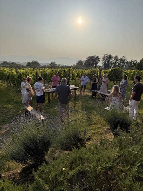 Group gathering in vineyard at sunset, Agriturismo San Jacopo, Reggello Firenze