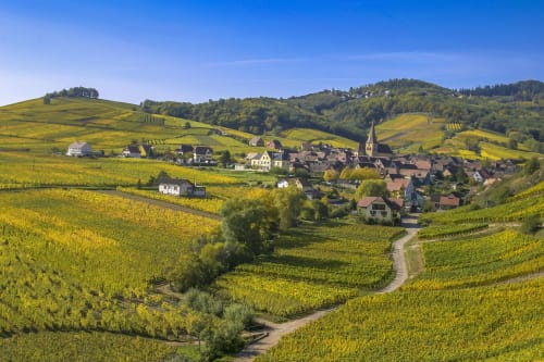 Le village de Niedermorschwihr niché dans les vignobles alsaciens avec clocher et collines ondulantes sous un ciel bleu