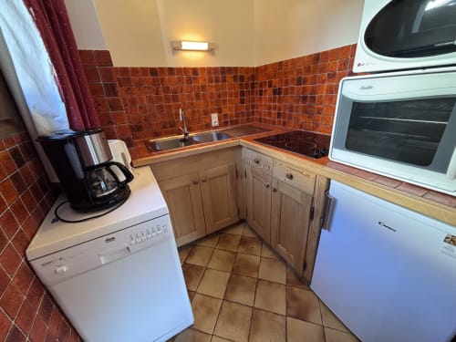 Compact kitchen in Chez Francine apartment with red tile backsplash, wooden cabinets, dishwasher, and microwave oven.