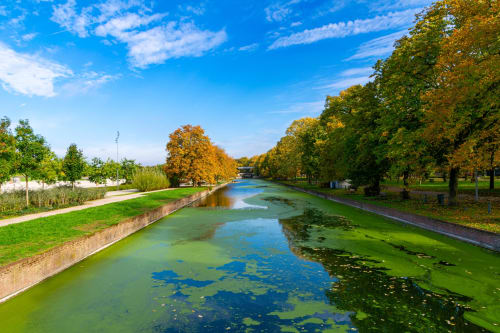 Canal de la Ferme de la Forterie à Verlinghem avec arbres d'automne et berges verdoyantes sous un ciel bleu