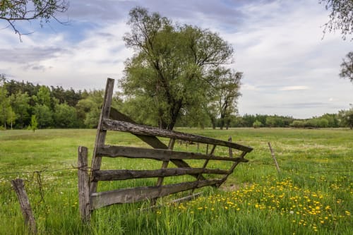 Clôture rustique en bois dans une prairie de fleurs sauvages près des Chalets Cocody, Jausiers, Alpes françaises