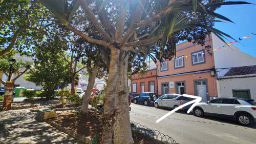 Apartment building and street view in La Aldea de San Nicolas, with palm trees and parked cars