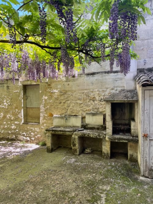 Cour ombragée de glycines, aux murs de pierre patinés et mobilier rustique à la Conciergerie Maurin, Arles Provence