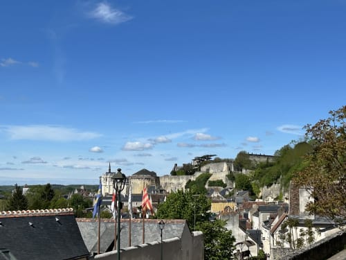 Vue du château d'Amboise et de la ville historique depuis le gîte l'Instant Clos Lucé, Vallée de la Loire