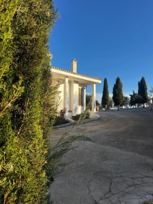 Entrada de la Casa Rural Finca El Olivar con pérgola blanca, setos cuidados y cipreses en Valencia, España