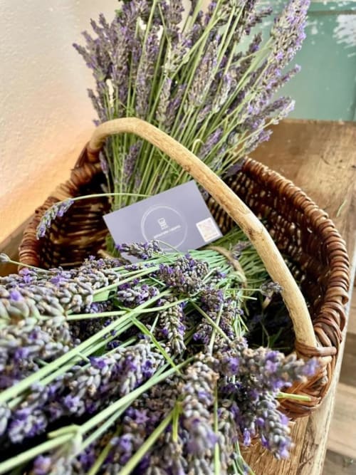 Wicker basket filled with fresh purple lavender bunches at Agriturismo CasaViva, Pozzo della Chiana