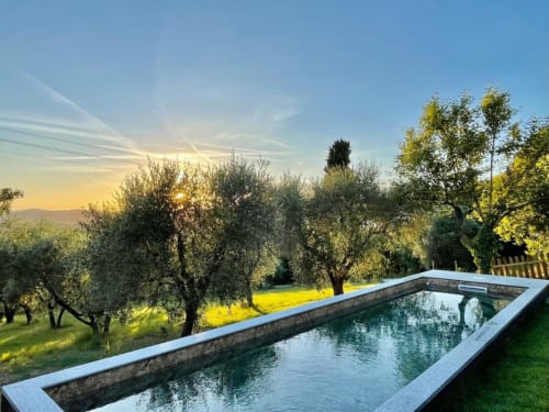 Infinity pool overlooking olive groves at sunset, Agriturismo CasaViva in Pozzo della Chiana, Tuscany