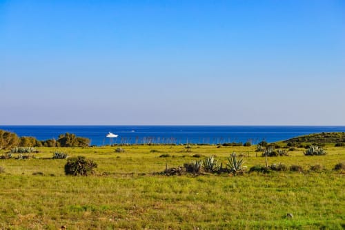 Green coastal meadow with desert plants overlooking Mediterranean Sea, Carboneras Spain