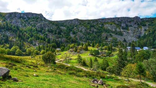 Vallée alpine verdoyante aux Gîtes et chalet les Grandes voies, Le Ménil, avec prairies vertes, forêt et pics rocheux