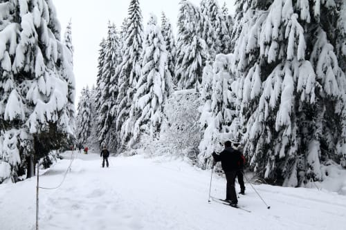 Skieurs sur pente enneigée entourés de sapins chargés de neige aux Grandes Voies, Le Ménil