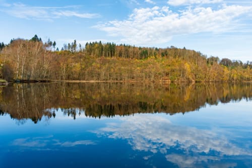 Reflet tranquille de la forêt au bord du lac aux Gîtes et chalet les Grandes voies, Le Ménil, France
