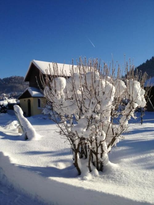 Sapin enneigé et chapelle aux Gîtes les Grandes voies au Ménil, paysage d'hiver français