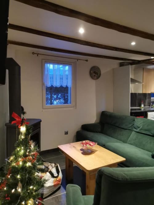 Salon moderne du gîte Les Grandes Voies avec canapé vert, cheminée, sapin de Noël, table en bois et vue montagne