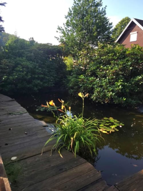 Ponton en bois surplombant un étang avec plantes fleuries aux Gîtes les Grandes Voies au Ménil