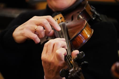 Musician playing violin at Stonegate Townhouse York, hands on strings and fingerboard detail