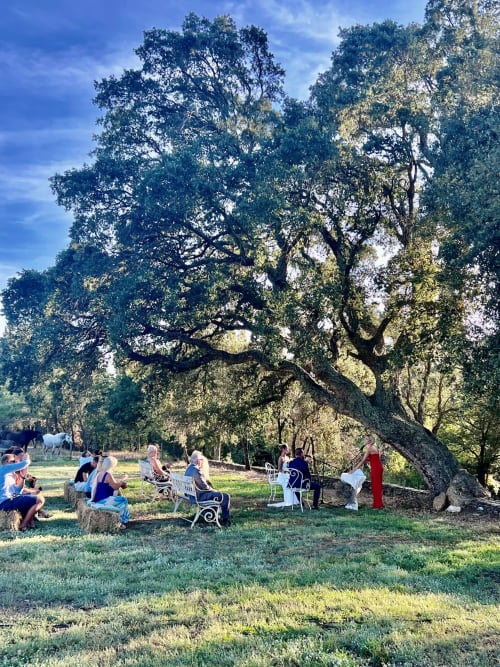 Guests gathered under a massive ancient oak tree at Molí Roquer rural retreat in Rabós, Spain
