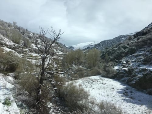Snowy mountain valley landscape near Hotel Mulhacén in Trevélez, Granada, with bare tree and snow-covered slopes