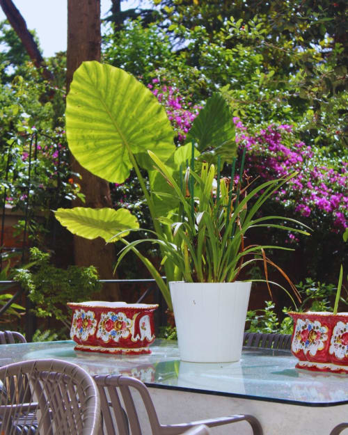 Bright garden terrace at EppytimeRome with potted tropical plant, decorative red planters, and blooming magenta flowers in